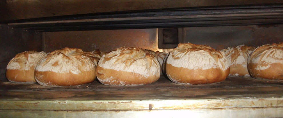 Sour dough bread baking in the oven at Redbournbury Mill