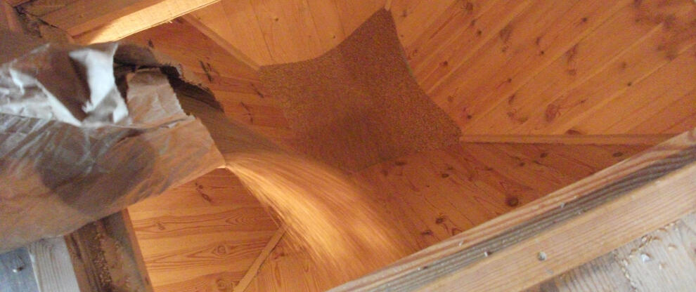 Wheat pouring into the hopper