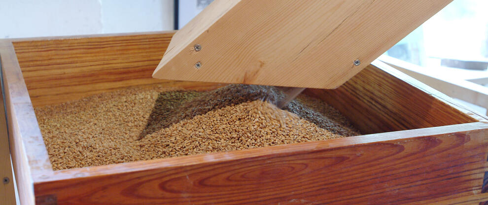 Wheat in millstone hopper